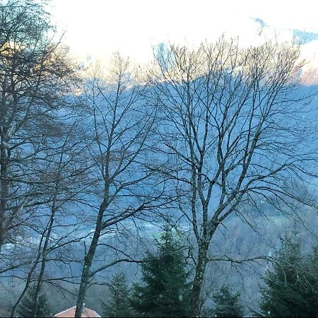 Chalet Du Bois Des Fugiers Ужин Экстерьер фото